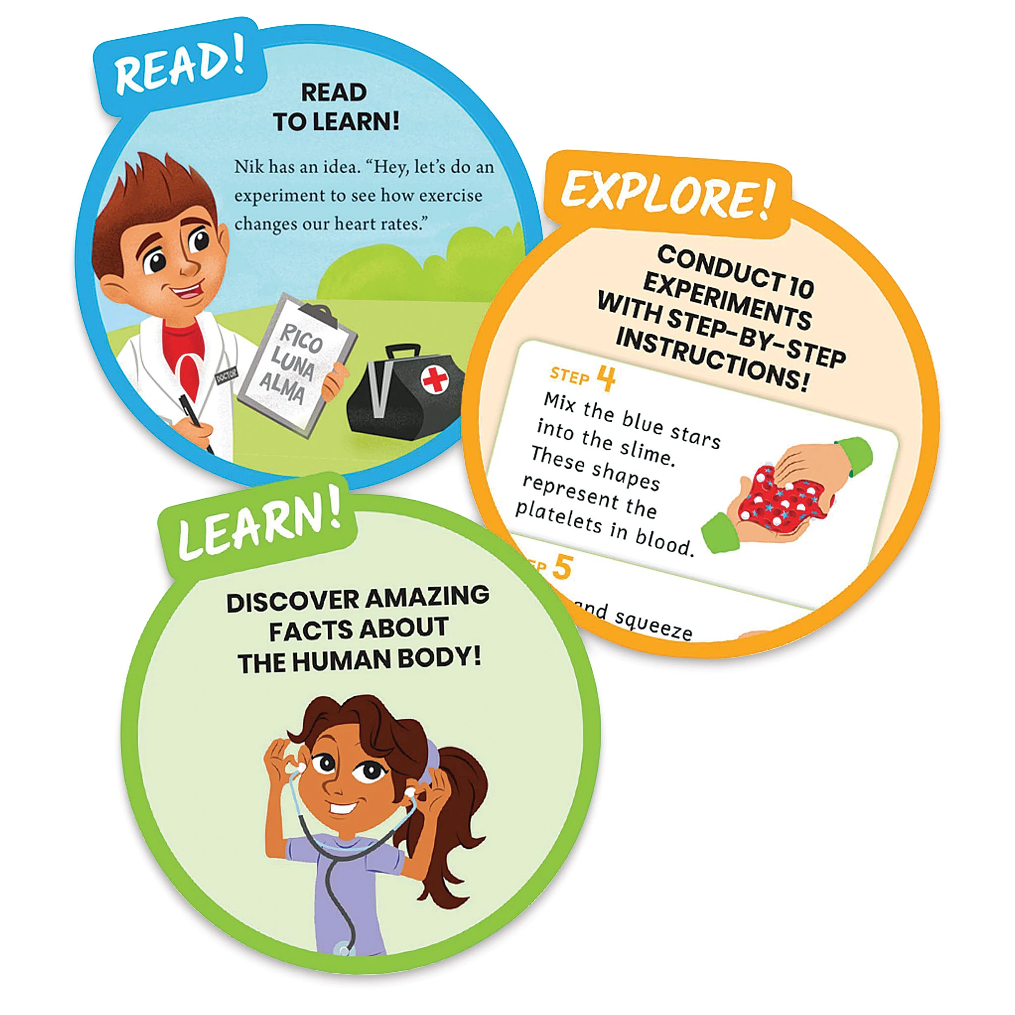 Hand2Mind HeadtoToe Human Body Science Lab 3 Hand2Mind HeadtoToe Human Body Science Lab - Image 3