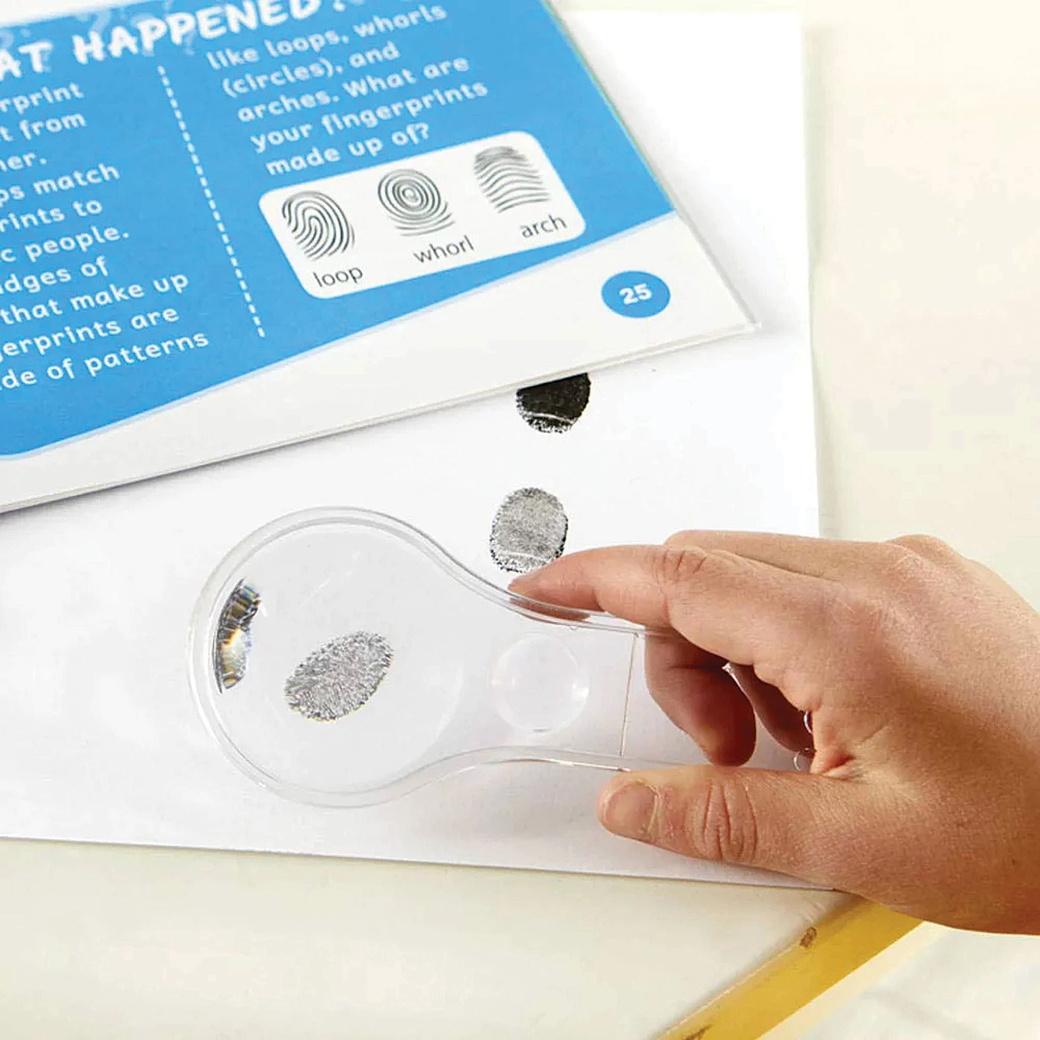 Hand2Mind HeadtoToe Human Body Science Lab 2 Hand2Mind HeadtoToe Human Body Science Lab - Image 2