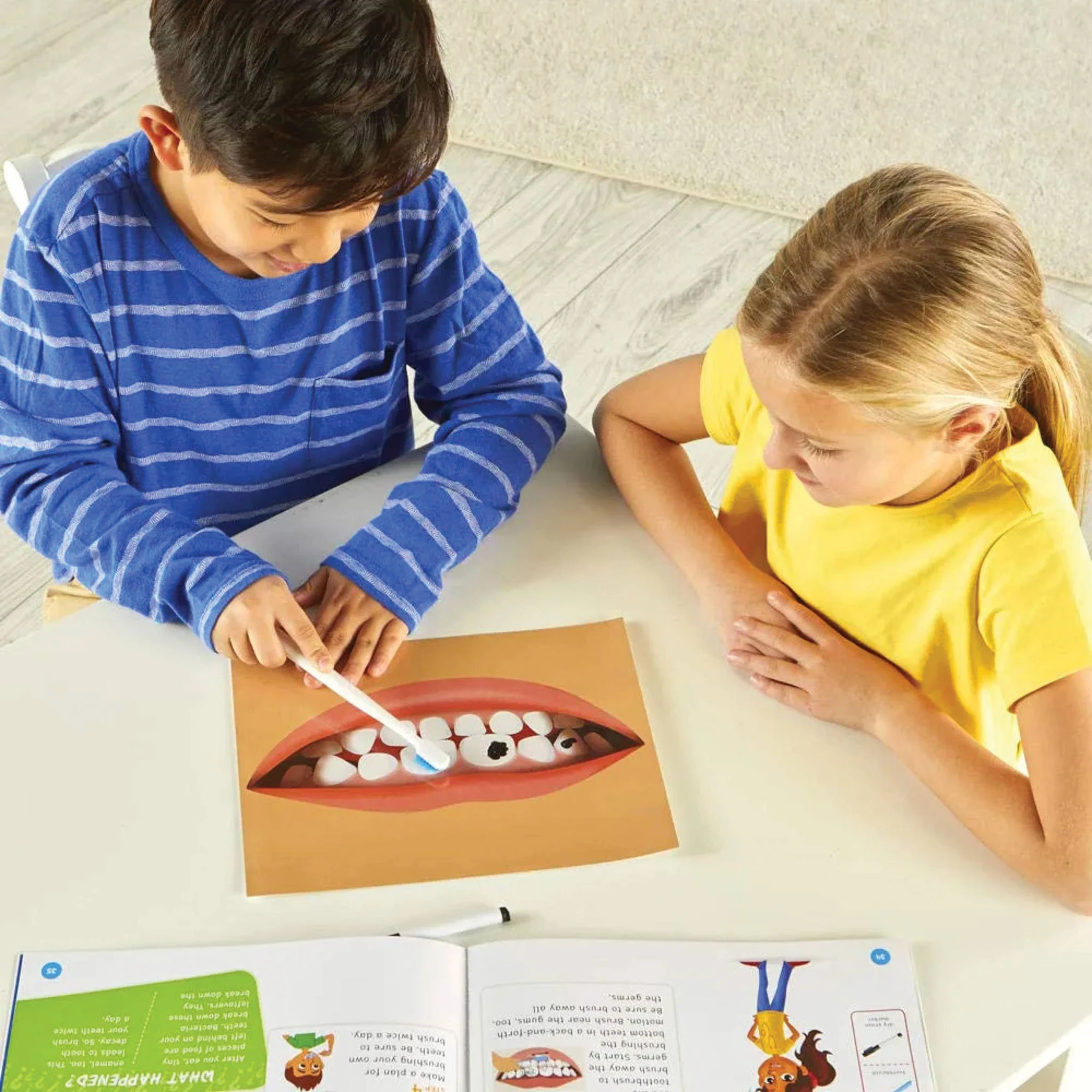 Hand2Mind HeadtoToe Human Body Science Lab 4 Hand2Mind HeadtoToe Human Body Science Lab - Image 4