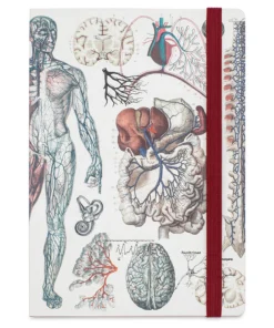 Cognitive Surplus Analysis Softcover Notebooks