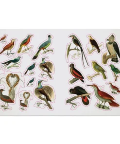 The Bees Birds & Butterflies Sticker Anthology -Canson Sale 87234 1001 5 4ww