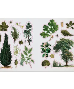 The Botanists Sticker Anthology -Canson Sale 87234 1002 8 4ww