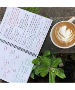 Roaring Spring Unruled Classic Wirebound Notebooks 6 Roaring Spring Unruled Classic Wirebound Notebooks -Canson Sale 89121 1026 3 4ww