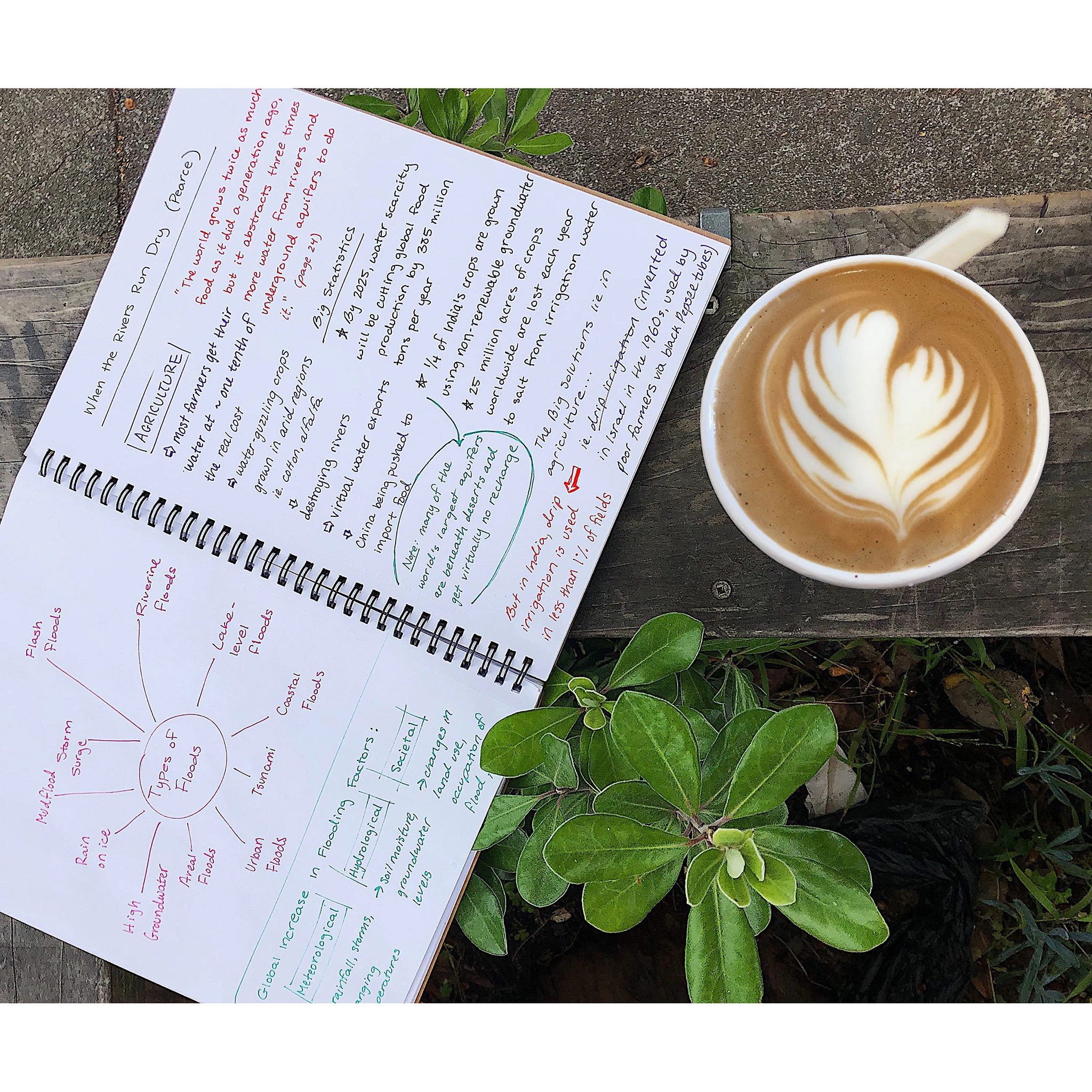 Roaring Spring Unruled Classic Wirebound Notebooks 3 Roaring Spring Unruled Classic Wirebound Notebooks - Image 3