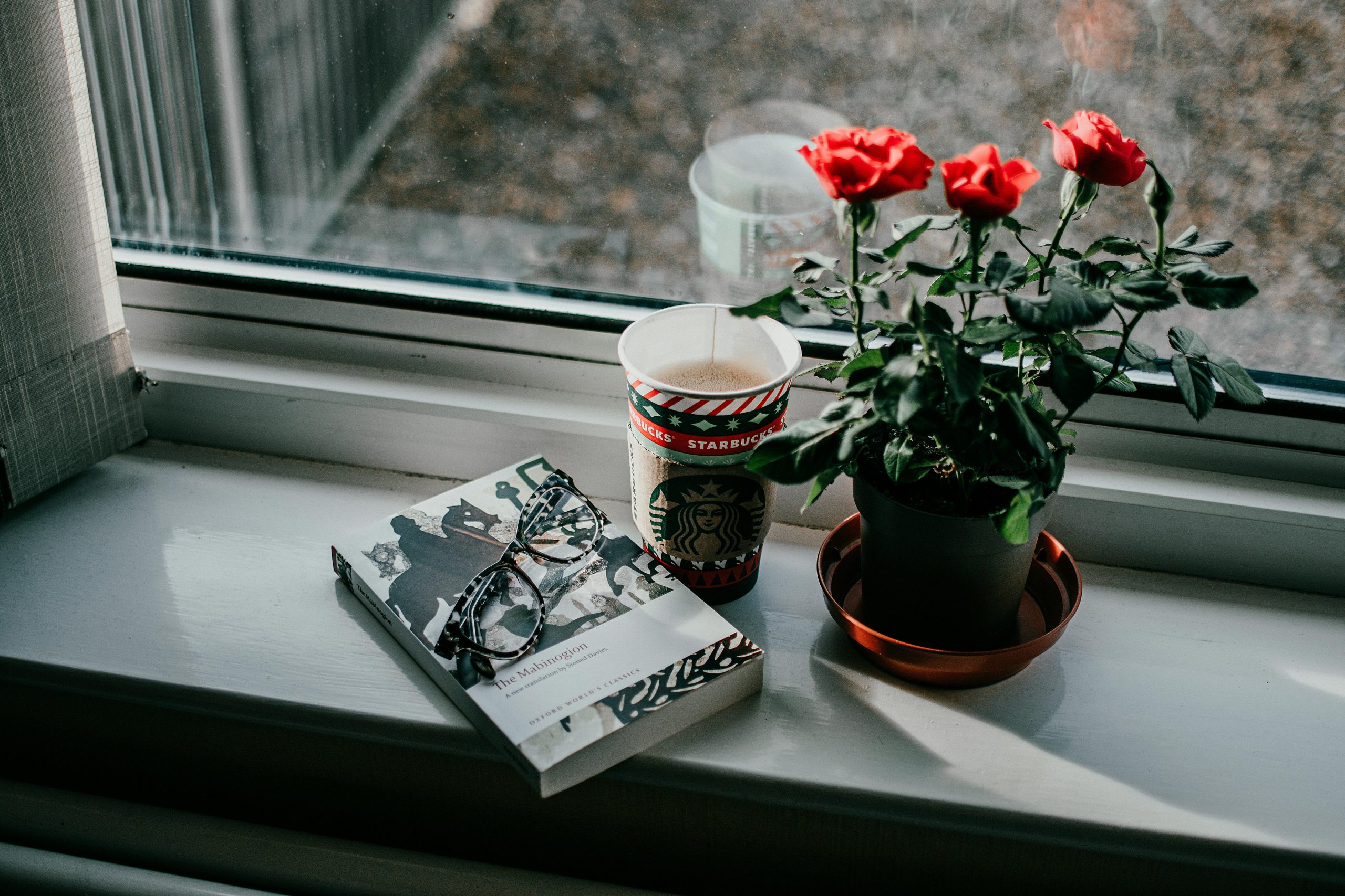 Canson Sale -Canson Sale pexels lisa fotios 6068088 scaled